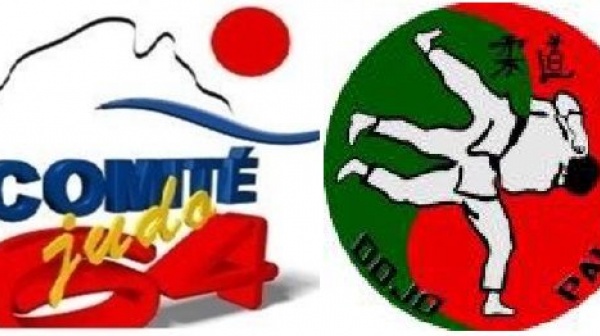 Le samedi 28 février 2026 Championnat de France individuel seniors féminins masculins 2e division au Dojo Palois